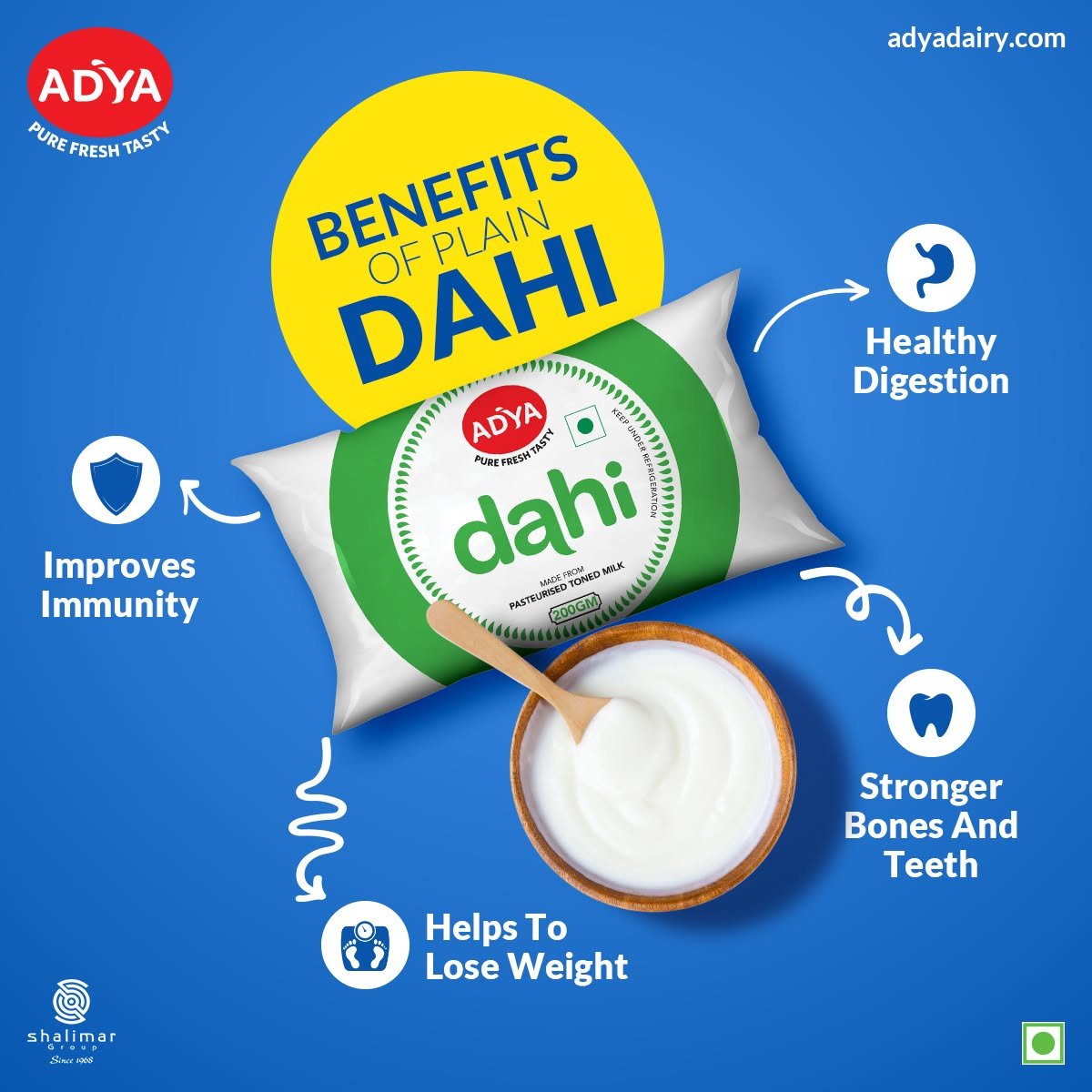 Adya Dairy plain Dahi informational creative featuring a curd packet, bowl of yogurt and illustrated icons describing proposed health benefits.